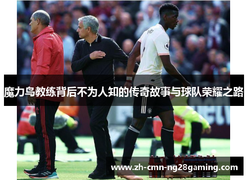 魔力鸟教练背后不为人知的传奇故事与球队荣耀之路 魔力鸟教练背后不为人知的传奇故事与球队荣耀之路