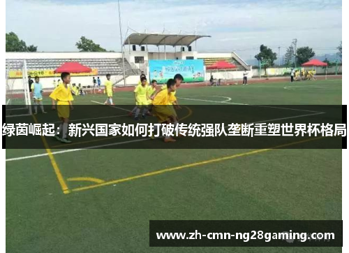 绿茵崛起:新兴国家如何打破传统强队垄断重塑世界杯格局 绿茵崛起:新兴国家如何打破传统强队垄断重塑世界杯格局