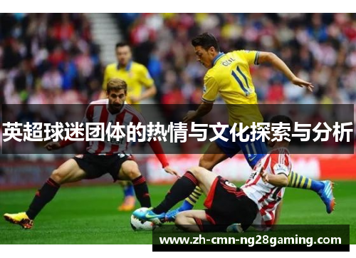 英超球迷团体的热情与文化探索与分析