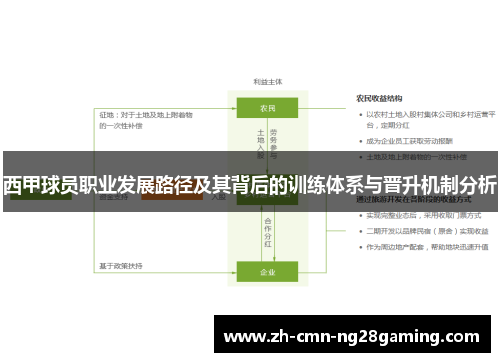 西甲球员职业发展路径及其背后的训练体系与晋升机制分析
